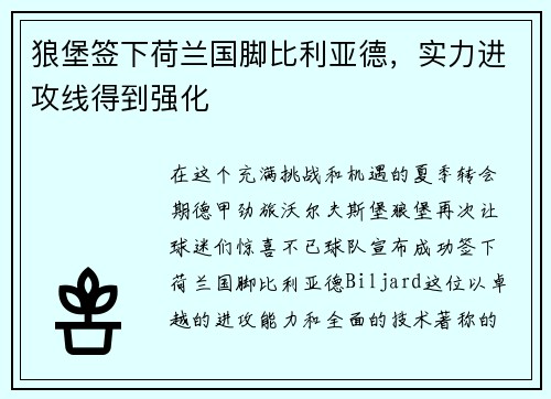 狼堡签下荷兰国脚比利亚德，实力进攻线得到强化